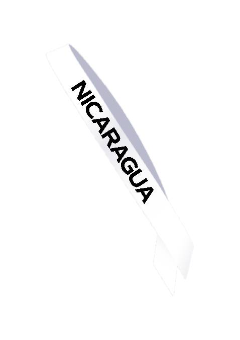 Miss Universe Embroidered Competition Sash
