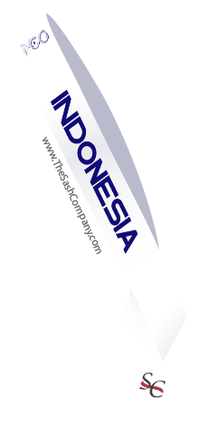 Miss Cosmo Competition Sashes