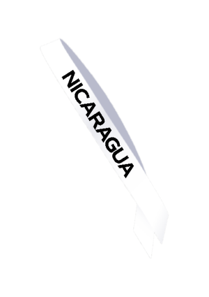 competition_sash1_52604850