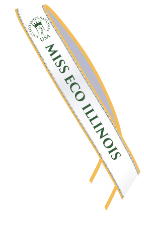 State Sashes